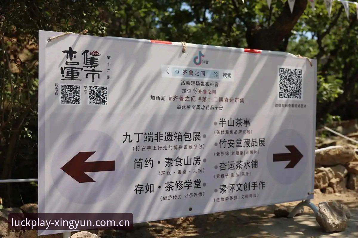 杏运体育平台注册vs其他平台：哪个更省心？一份深度对比分析